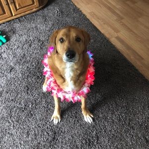 Meet your Posher, Jacob